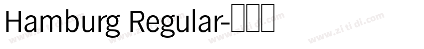 Hamburg Regular字体转换